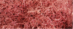 Shredded beef jerky