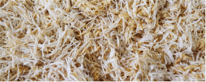 Shredded chicken breast