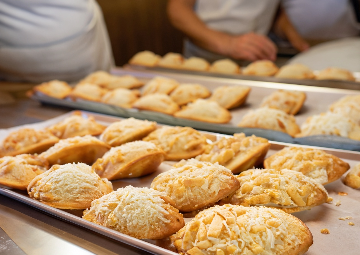 Importancia de Nuestras Desmechadoras de Pollo y Carne en las Panaderías