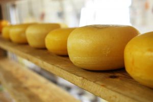 Fotos de queijos na prateleira