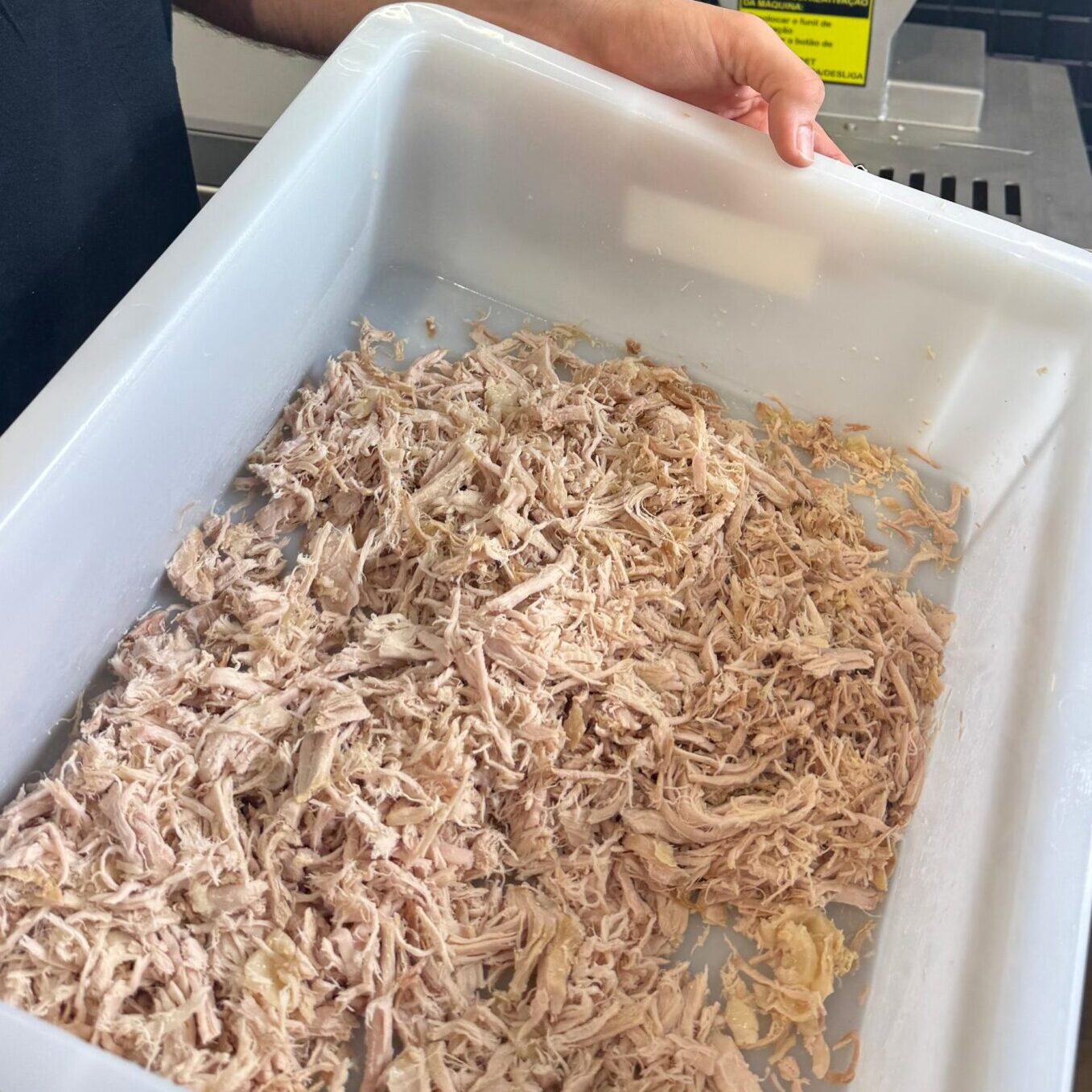 Pulled pork com lombo suíno feito no Sous Vide